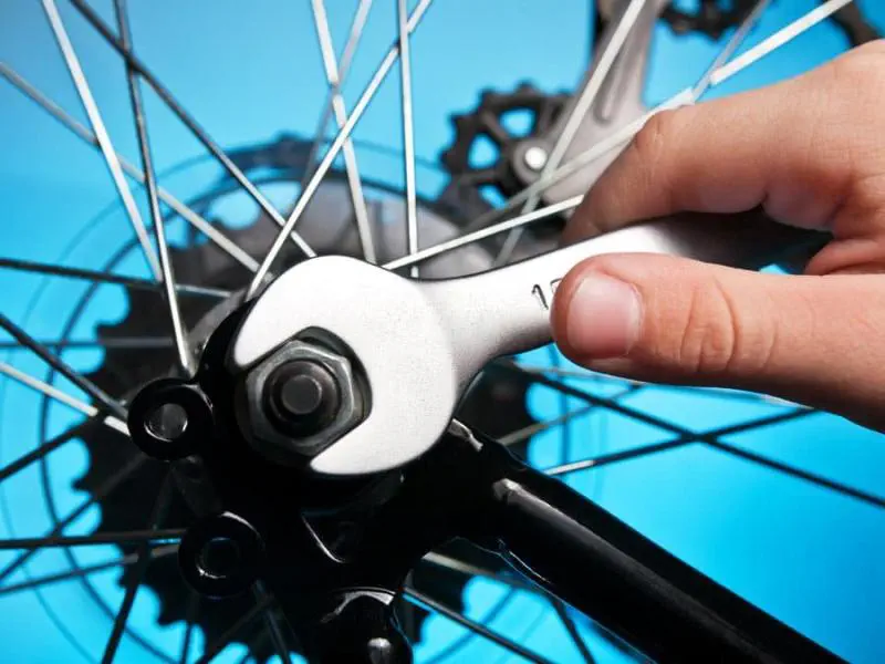 Hızlı Pedal Hakkında